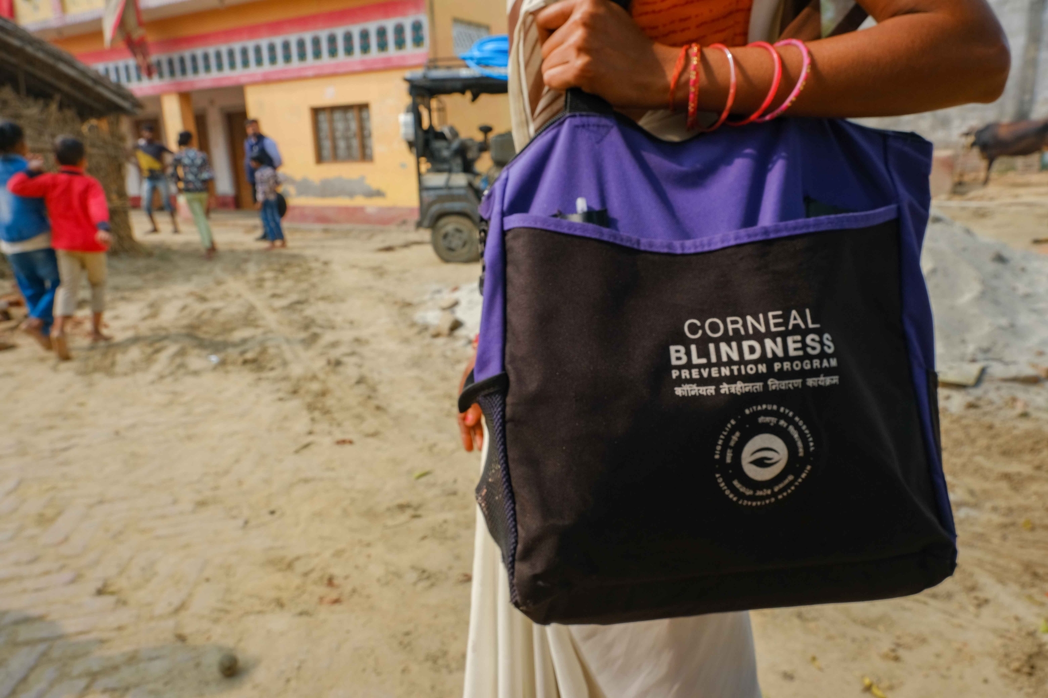 What HCP Milestones in South Asia Tell Us